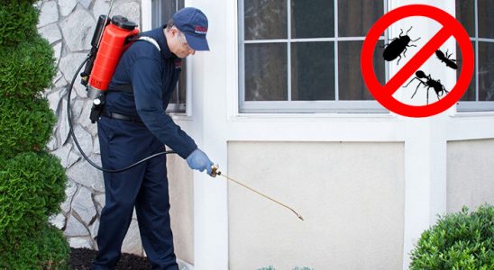Akçakale Pire İlaçlama böcek ilaçlama ve haşere kontrolü — ilaclama-tr.com